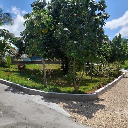 Africa Dream Bungalow Kiwengwa Hotel Кивенга Екстериор снимка