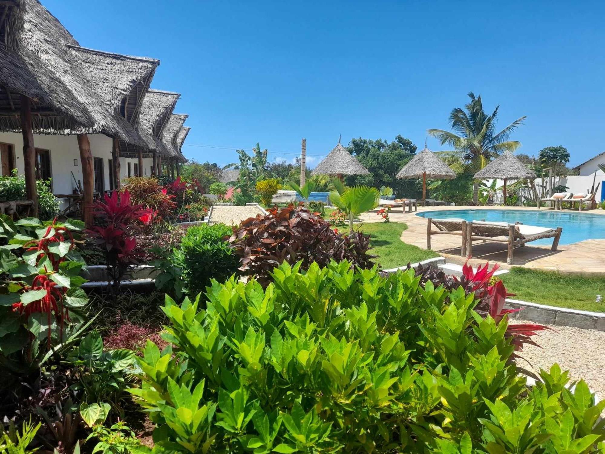 Africa Dream Bungalow Kiwengwa Hotel Кивенга Екстериор снимка